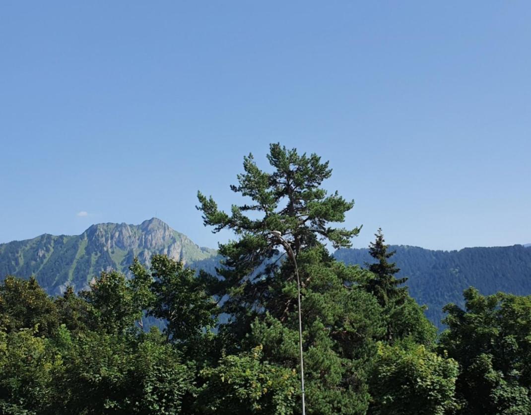 Heidi Apartment Leysin Exterior photo